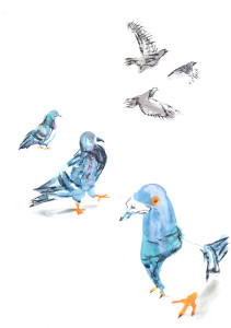 Birds